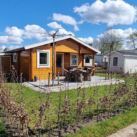 Nieuw - Luxe Blokhut Chalet In Bosrijke Omgeving Anloo Esterno foto