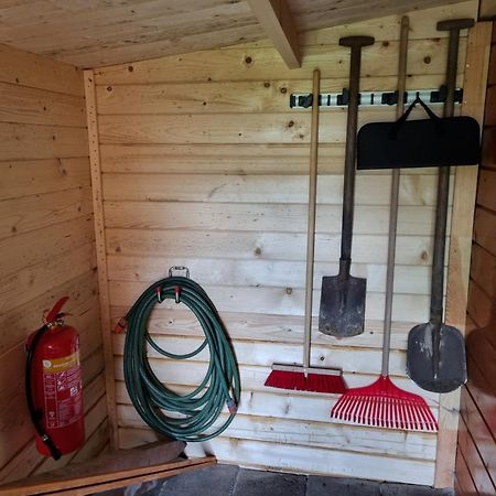 Nieuw - Luxe Blokhut Chalet In Bosrijke Omgeving Anloo Esterno foto
