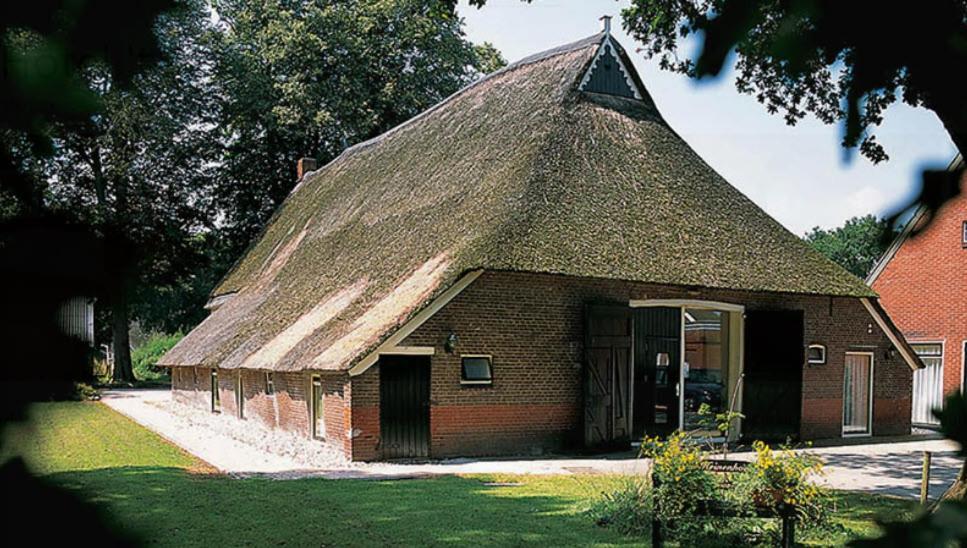 Nieuw - Luxe Blokhut Chalet In Bosrijke Omgeving Anloo Esterno foto