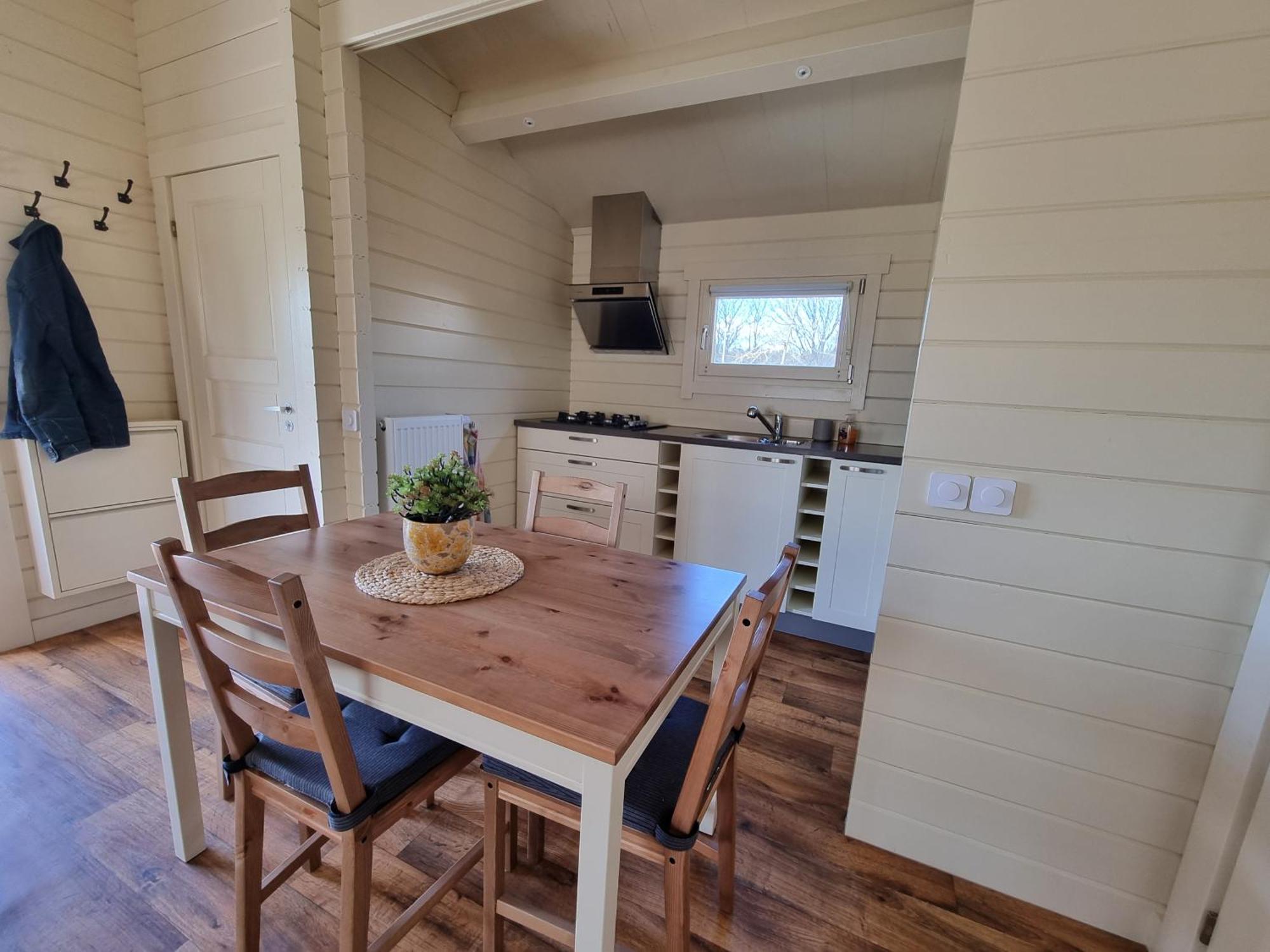 Nieuw - Luxe Blokhut Chalet In Bosrijke Omgeving Anloo Esterno foto