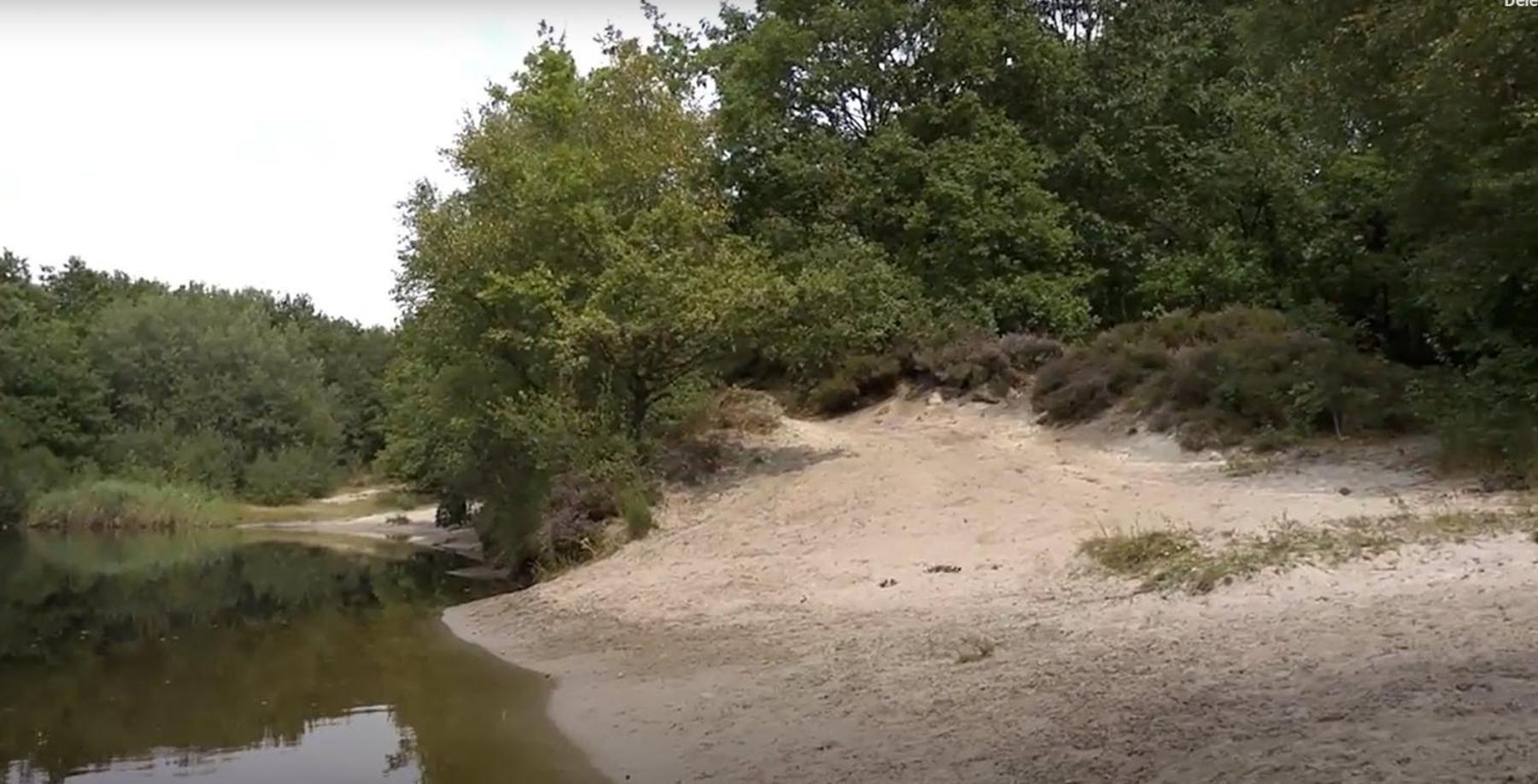 Nieuw - Luxe Blokhut Chalet In Bosrijke Omgeving Anloo Esterno foto