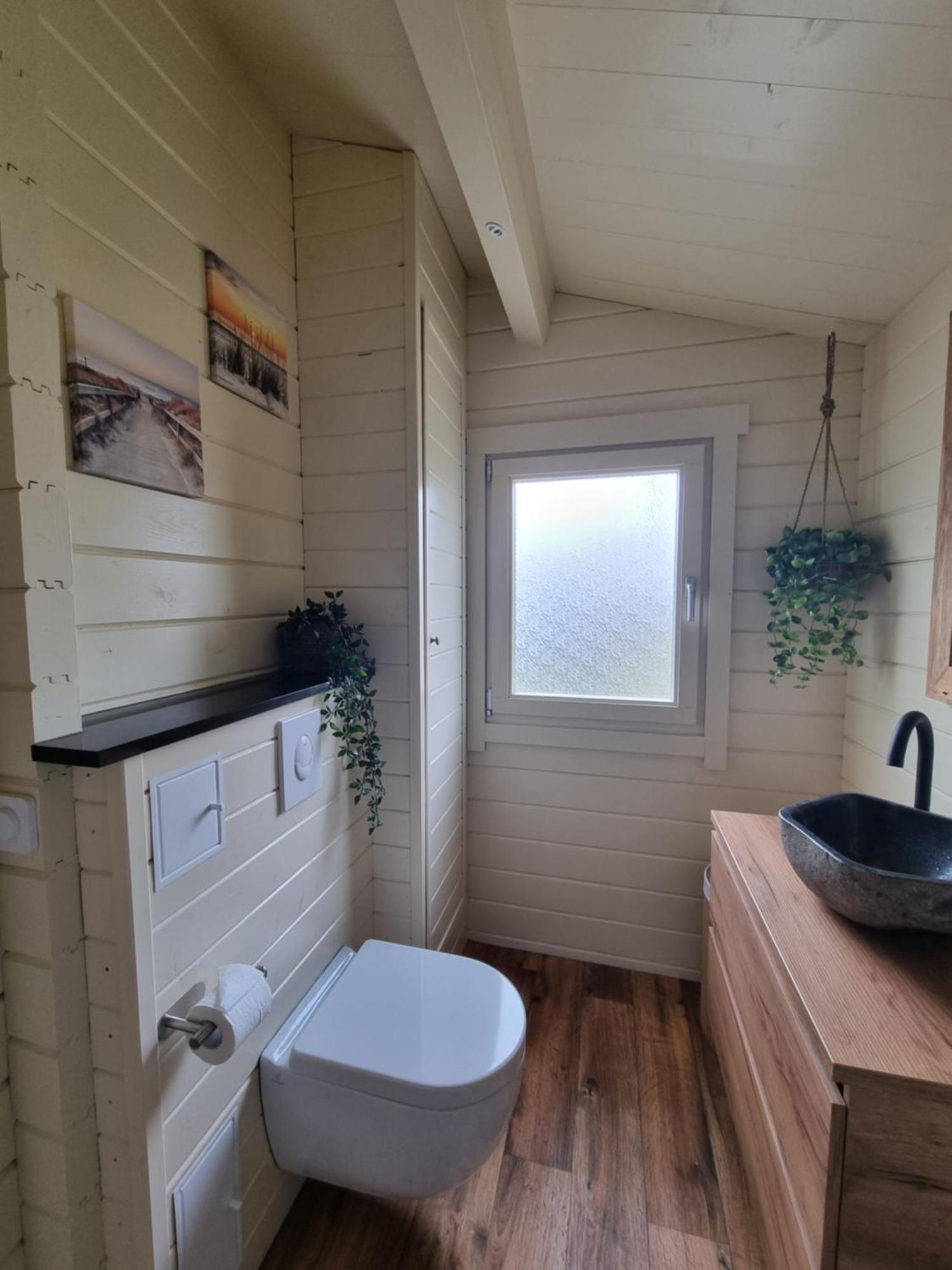 Nieuw - Luxe Blokhut Chalet In Bosrijke Omgeving Anloo Esterno foto