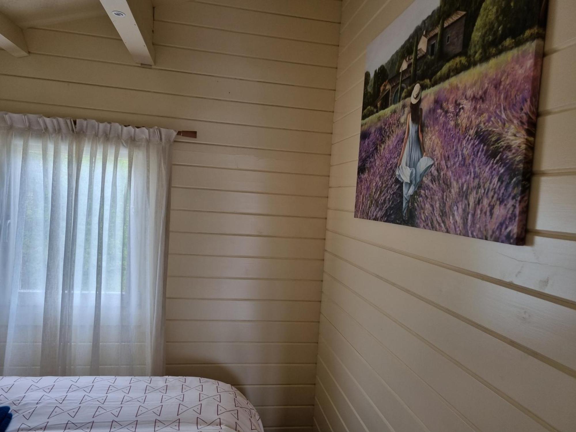 Nieuw - Luxe Blokhut Chalet In Bosrijke Omgeving Anloo Esterno foto